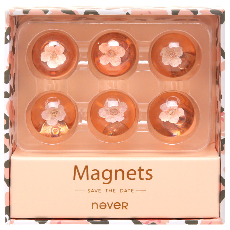 Magnetic Stickers Small Magnets Magnetic Buttons Whiteboard Magnetic Nails